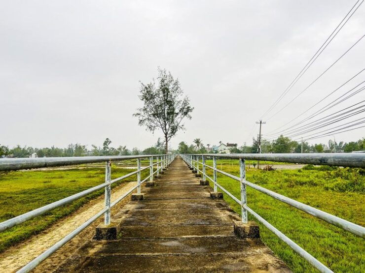 Hoi An: Full-Day Countryside Tour With Boat Trip and Lunch - Tour Highlights and Price