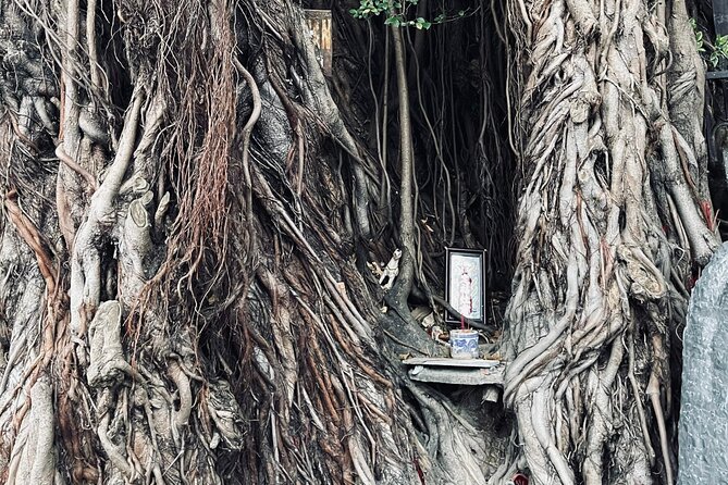 Hoi An Ghosts, Death, Mystery Unveiled - The Sum Up