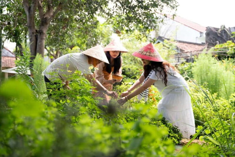 Hoi An Hidden Gem: Vietnamese Coffee Making x Local Herbal - Who Would Love This Experience?