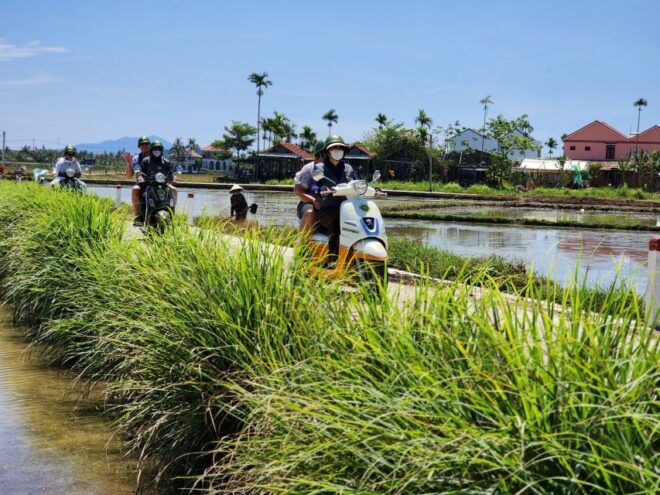 Hoi An Highlights and Hidden Gems Tour by Vespa - Bamboo Basket Boat Ride in the Water Coconut Forest