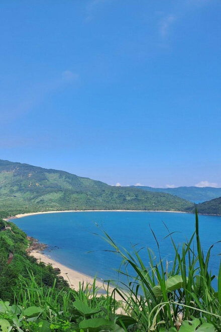 Hoi An: Jeep Tour From Hoi an to Hue & Hai Van Pass With Lunch - Included Services