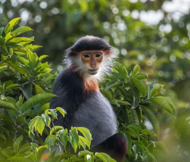 Hoi An: Marble & Monkey Mountains and Am Phu Cave Tour - Important Information