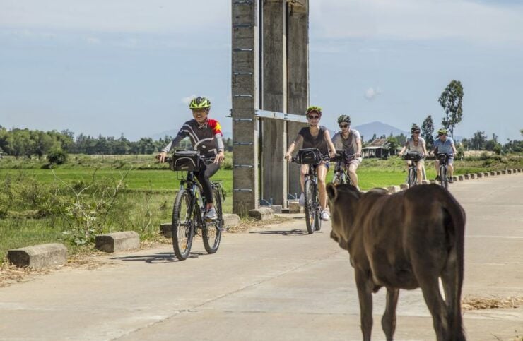 Hoi An: Morning Countryside Tour by Bike - Tour Overview