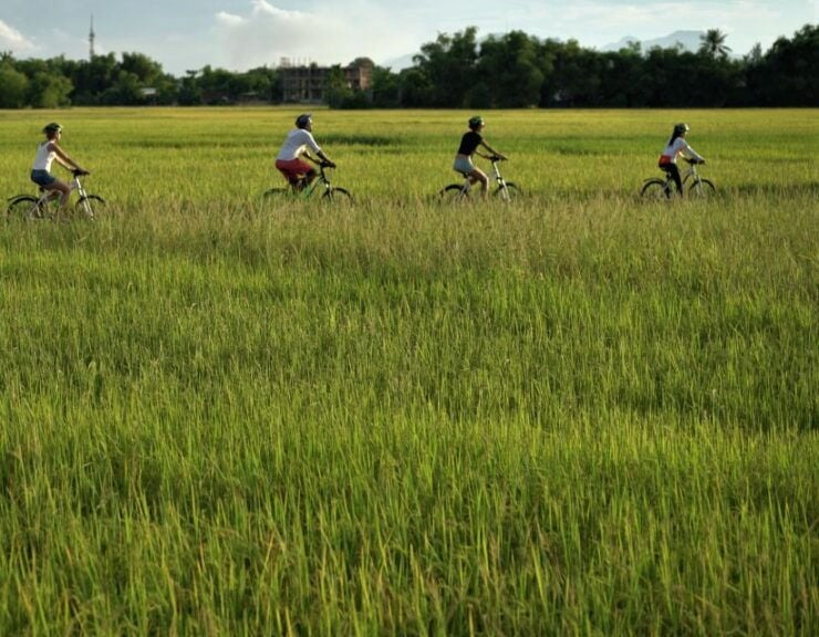Hoi An: Morning Countryside Tour by Bike - Itinerary Highlights