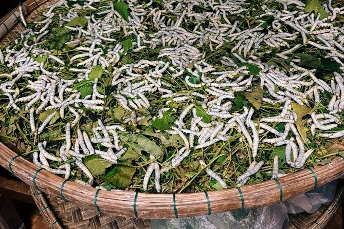 Hoi An Old Town Tour Explore the Ruins of Hoi An's Trading Port - Good To Know