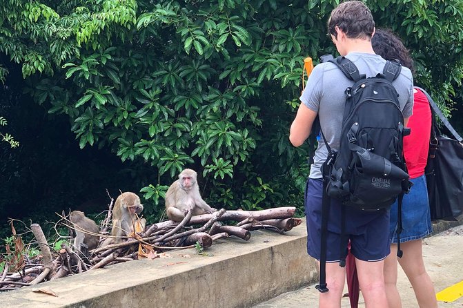 Hoi An or Da Nang to Golden Bridge, SonTra Monkey Mountain, Marble Mountain - Exploring the Golden Bridge: A Must-Visit Attraction