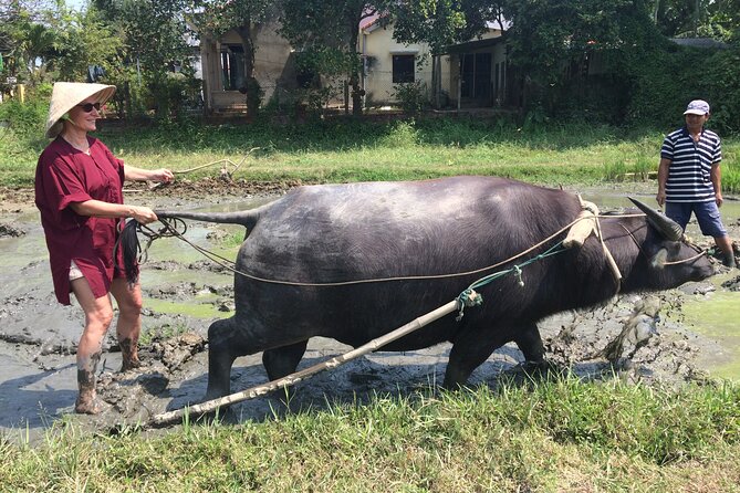 Hoi an Rice Farm Tour and Buffalo Riding With Local Home Meal - Indulge in a Delicious Home Cooked Meal