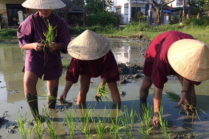 Hoi an Rice Farm Tour and Buffalo Riding With Local Home Meal - Capture Unforgettable Memories