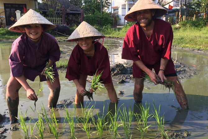 Hoi an Rice Farm Tour and Buffalo Riding With Local Home Meal - Common Questions