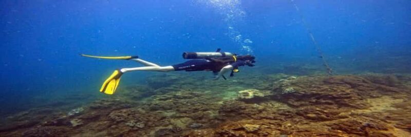 Hoi An snorkeling by speedboat at Cham Island - Who Should Consider This Tour?