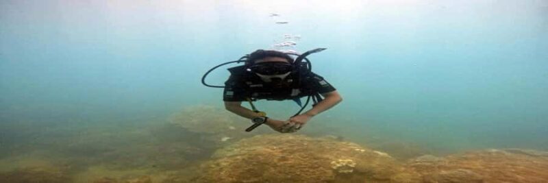 Hoi An snorkeling by speedboat at Cham Island - Good To Know