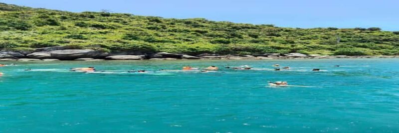 Hoi An snorkeling by speedboat at Cham Island - An In-Depth Look at the Cham Island Snorkeling Tour