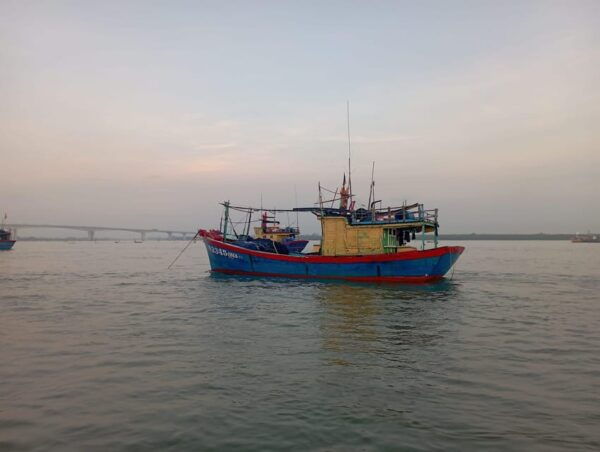 Hoi an Sunrise and Fish Market, Taking Photos - Experience Local Cuisine
