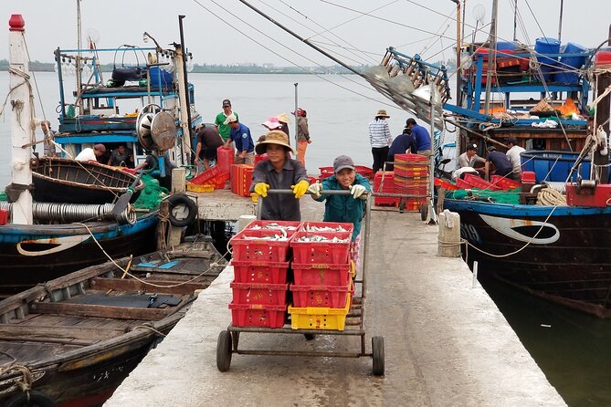 Hoi An Sunrise Private Half Day Tour - Itinerary Overview