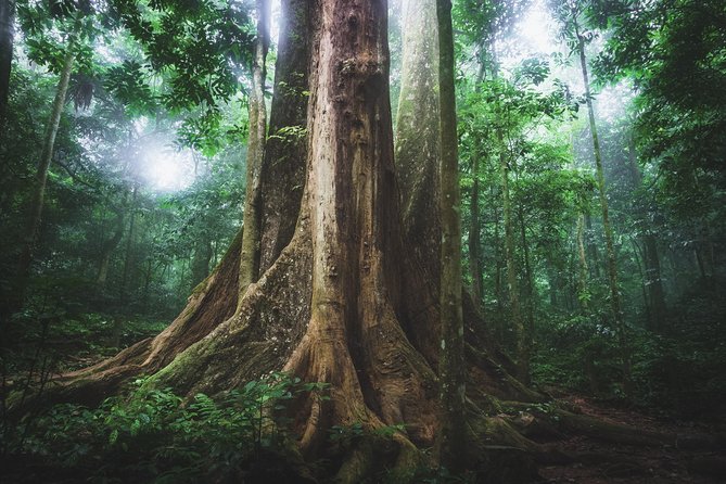 Hoi An To Bach Ma National Park Full Day - Park Activities