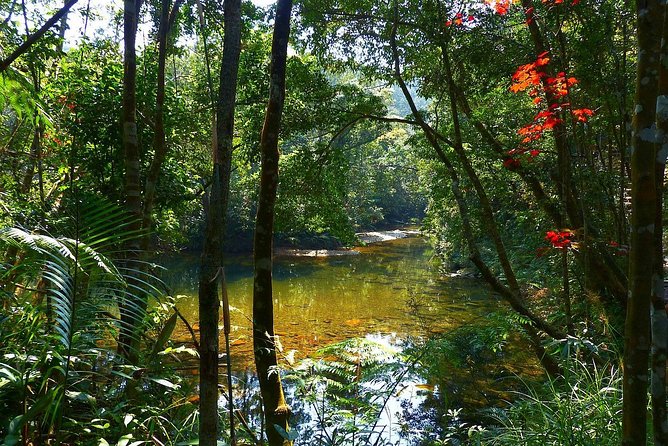 Hoi An To Bach Ma National Park Full Day - Common Questions