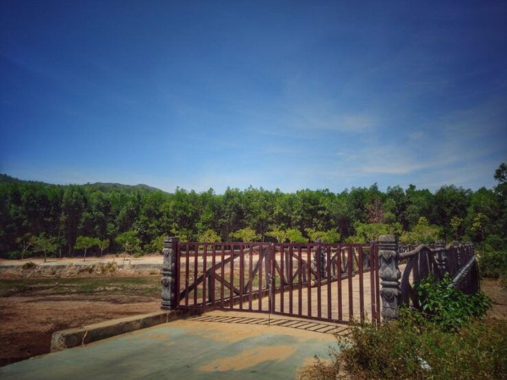 Hoi An to Hue: Private Sightseeing Drive & My Son Sanctuary - Activity Details