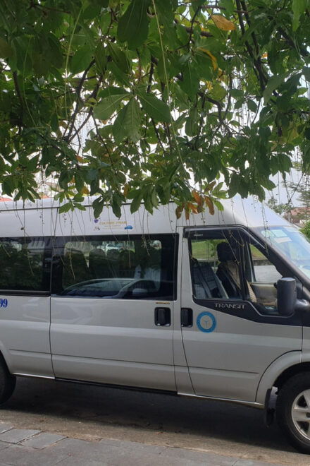 Hoi An To My Son Sanctuary By Private Car - Inclusions and Exclusions