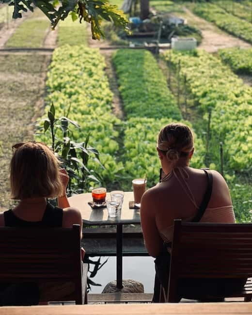 Hoi An: Trà Qu Village Cafe Tour with Local Guided - Good To Know