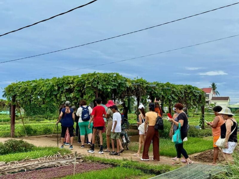 Hoi An: Trà Qu Village Cafe Tour with Local Guided - Hands-On Farming: From Soil to Harvest