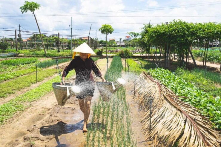 Hoi An - Tra Que Farming - Lantern Marking By Small Group - Experience Highlights