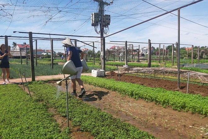 Hoi an Tra Que Vegetable Village & Cooking Class - Important Terms and Conditions
