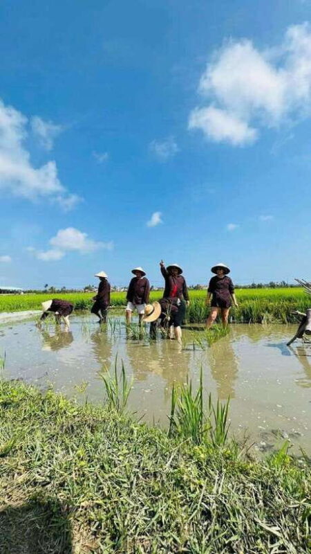 Hoi An Wet Rice Farming Tour-Basket Boat Tour Fishing-Lunch - Who Is This Tour Best For?