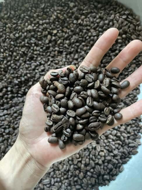 Hoi An:Coffee Making Class (Coffee: egg, Salt, Coconut, ...) - Good To Know