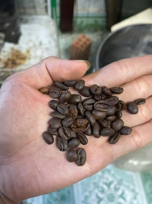 Hoi An:Coffee Making Class (Coffee: egg, Salt, Coconut, ...) - What to Expect from the Coffee Making Class in Hoi An