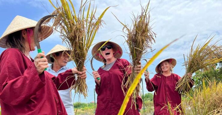 Hoi An:Lattern Making-Be A Real Farmer At Tra Que Village - Good To Know