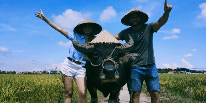 Hoi An:Lattern Making-Be A Real Farmer At Tra Que Village - Inclusions and Exclusions