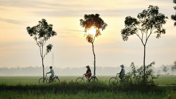 Hoi An:Lattern Making-Be A Real Farmer At Tra Que Village - Frequently Asked Questions