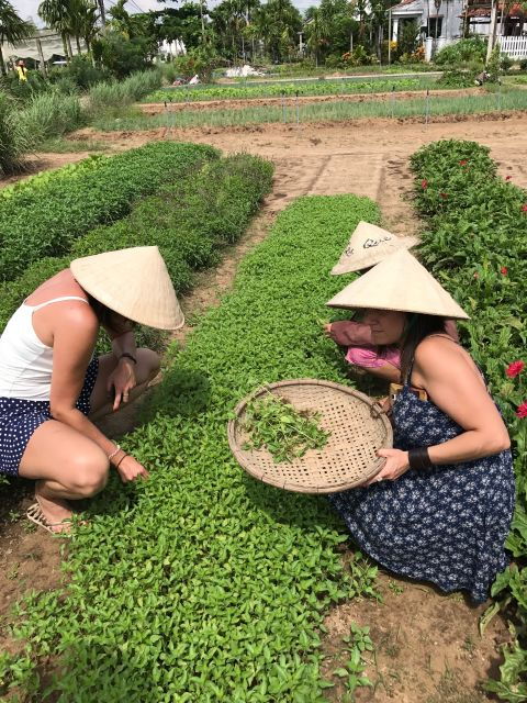 Hoian/Da Nang: Fishing, Basket Riding and Cooking Class - Good To Know