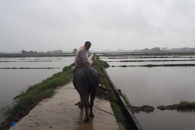Hoian FullDay Exploring, Handicraft Museum, Custom Suit Tailoring - Custom Suit Tailoring Experience