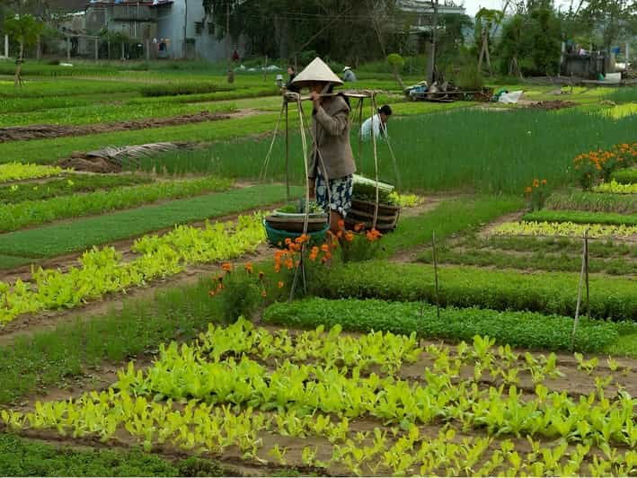 HOIAN: LANTERN MAKING–FARMER AT TRA QUE SMALL GROUP - Good To Know
