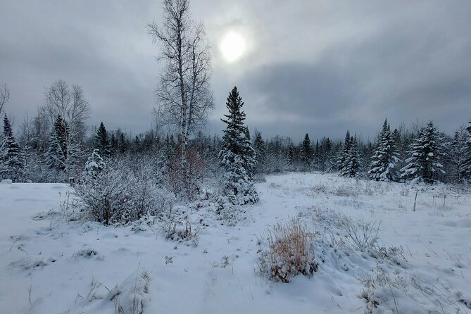 Hok Skiing the Gunflint Trail (Grand Marais) - Activity Details