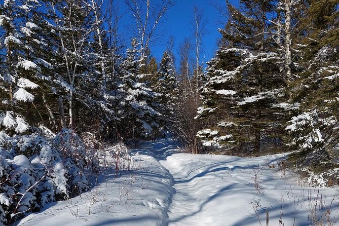 Hok Skiing the Gunflint Trail (Grand Marais) - Meeting and Logistics