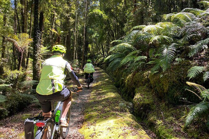 Hokitika Gorge Walk and Wilderness Trail Tour by eBike - FAQs