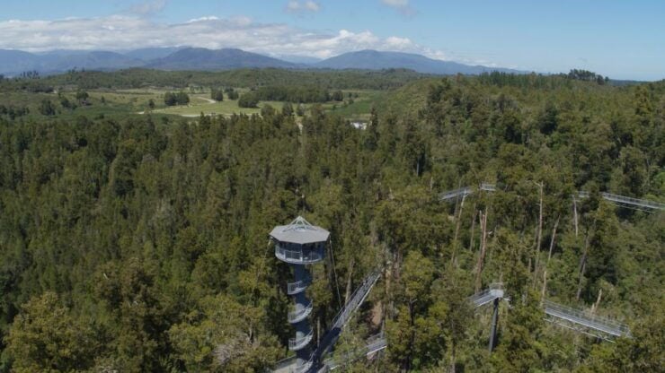 Hokitika: West Coast Tree Top Tower Zip Line and Walk - Activity Details
