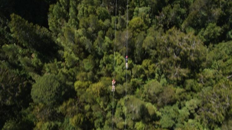 Hokitika: West Coast Tree Top Tower Zip Line and Walk - Experience