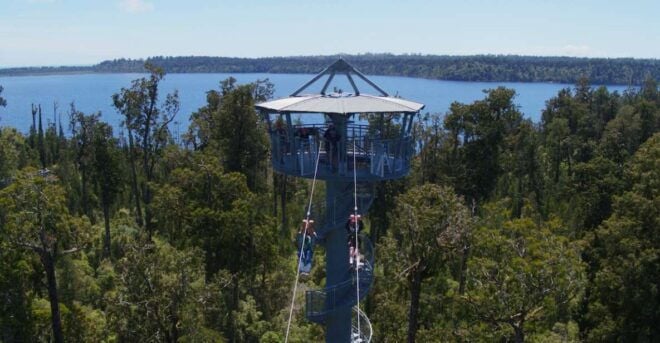 Hokitika: West Coast Tree Top Tower Zip Line and Walk - Full Description