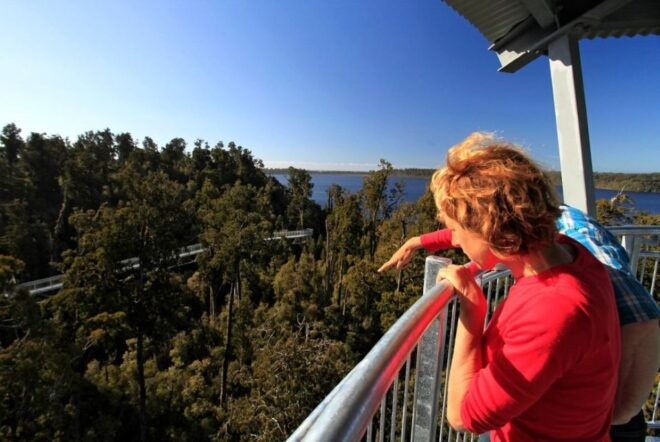Hokitika: West Coast Tree Top Tower Zip Line and Walk - Location