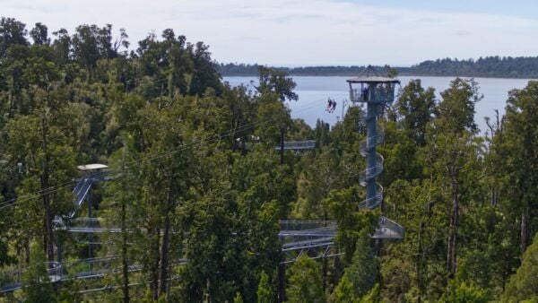 Hokitika: West Coast Tree Top Tower Zip Line and Walk - Common Questions