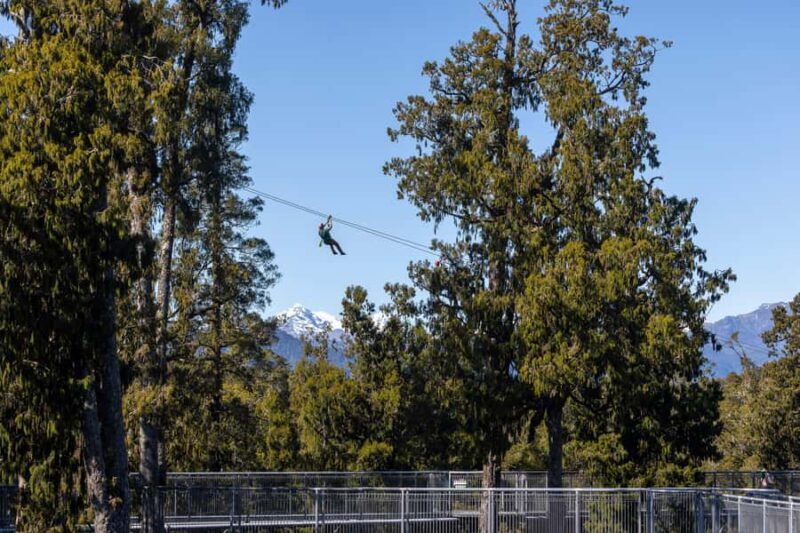 Hokitika: West Coast Treetop Walkway Entrance Ticket - Good To Know