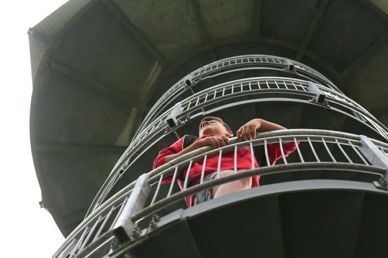 Hokitika: West Coast Treetop Walkway Entrance Ticket - What Makes the Hokitika Treetop Walk Special?