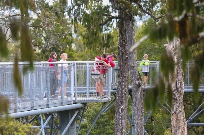 Hokitika: West Coast Treetop Walkway Entrance Ticket - Practical Details