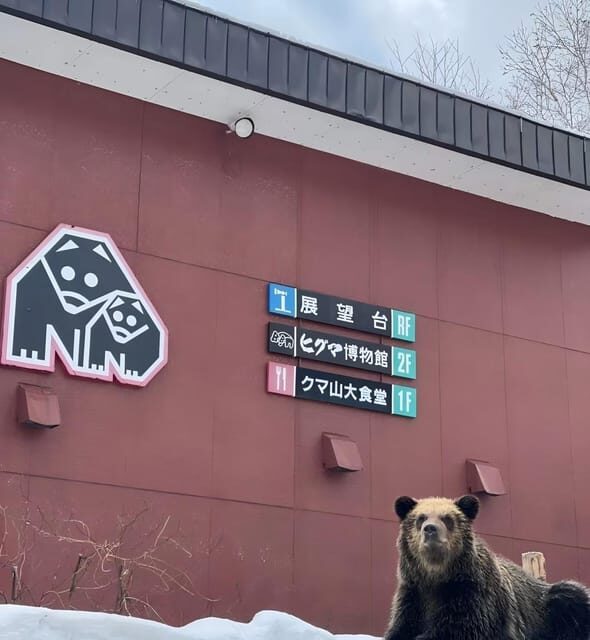 Hokkaido 10-hour chartered day trip Noboribetsu - An In-Depth Look at the Noboribetsu Day Trip