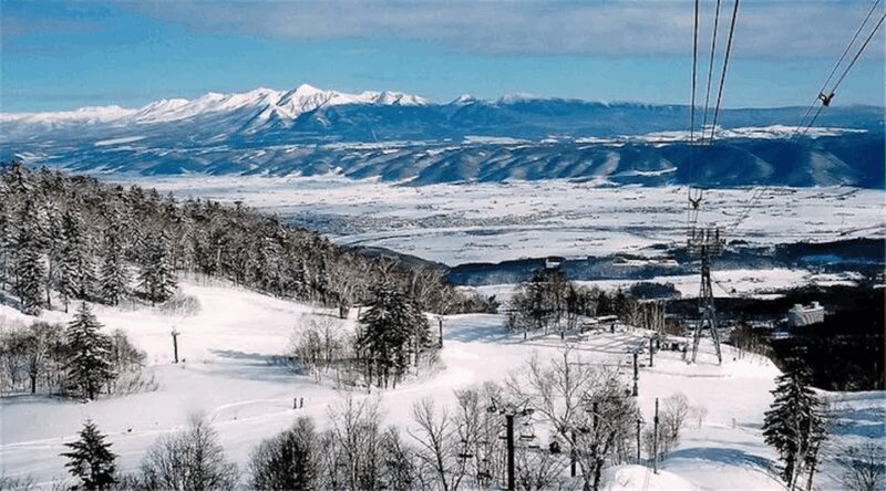 Hokkaido 10-hour chartered day tripFurano - Why Choose This Tour?