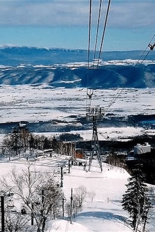 Hokkaido 10-hour chartered day tripFurano - Frequently Asked Questions