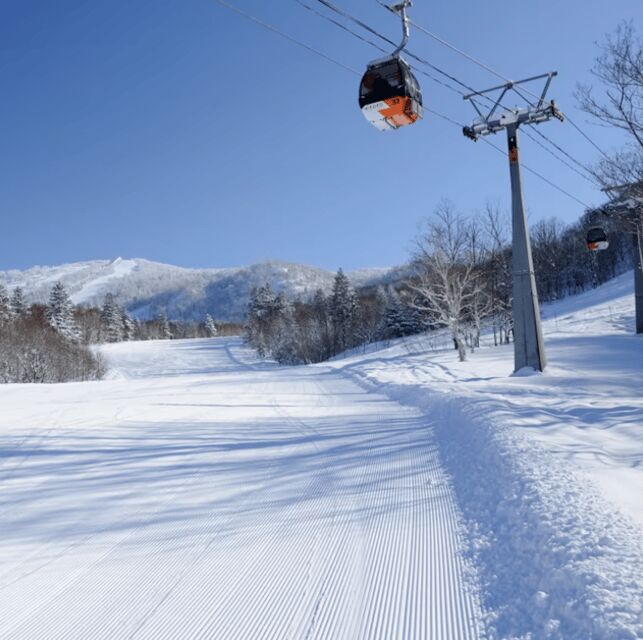 Hokkaido 10-hour chartered day tripOtaru - What’s Included and What’s Not?